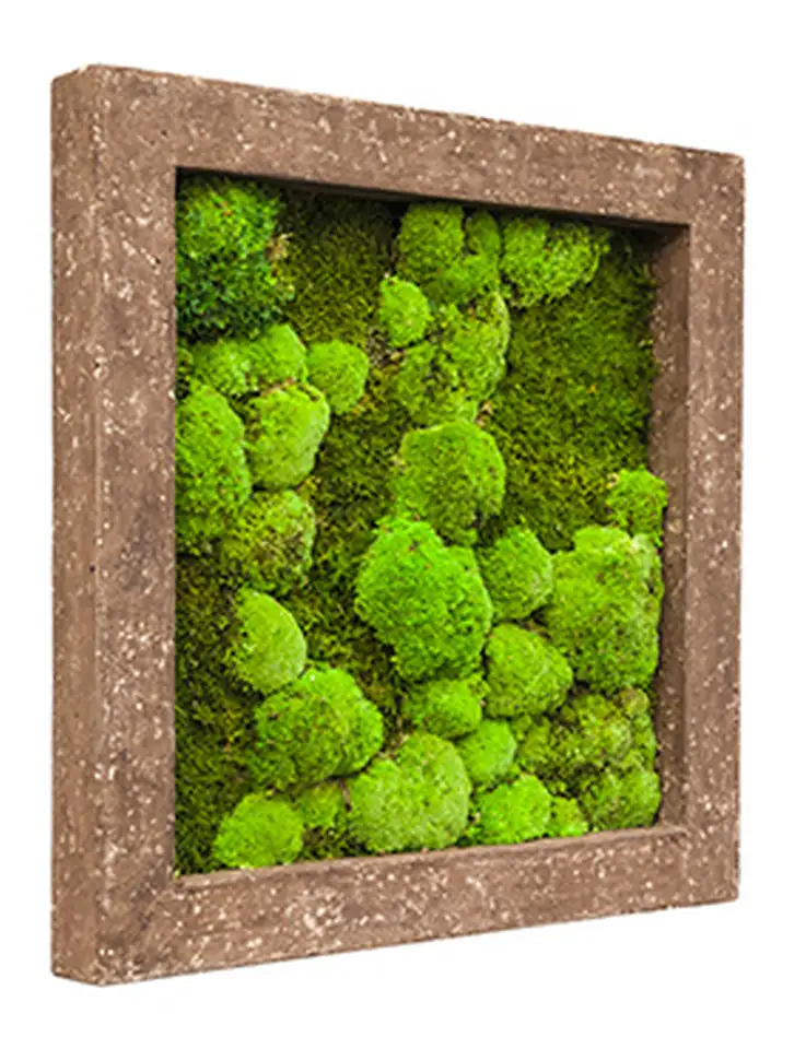 Рамка конс. мъх  50х50см - Frame Polystone Rock