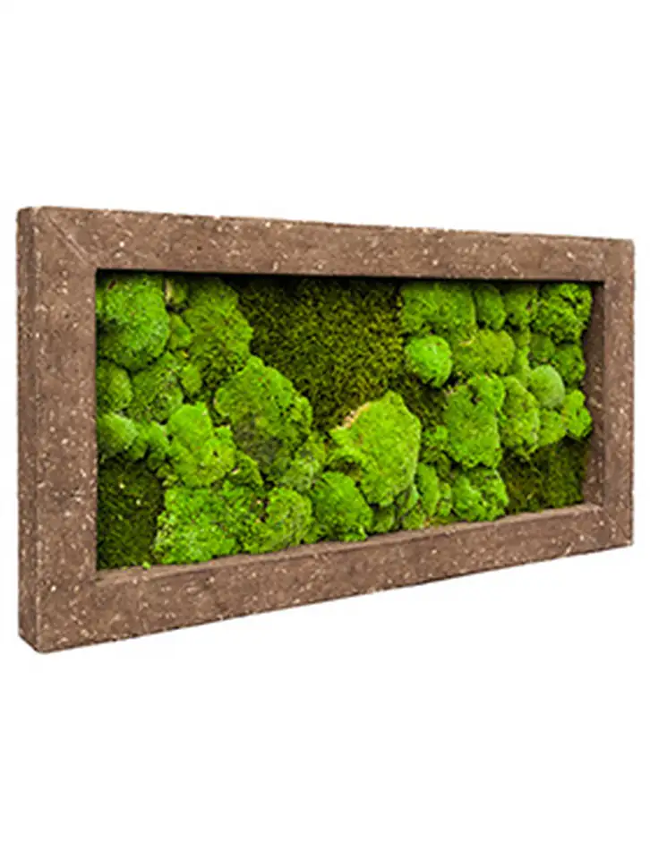 Рамка конс. мъх 100х50см - Frame Polystone Rock