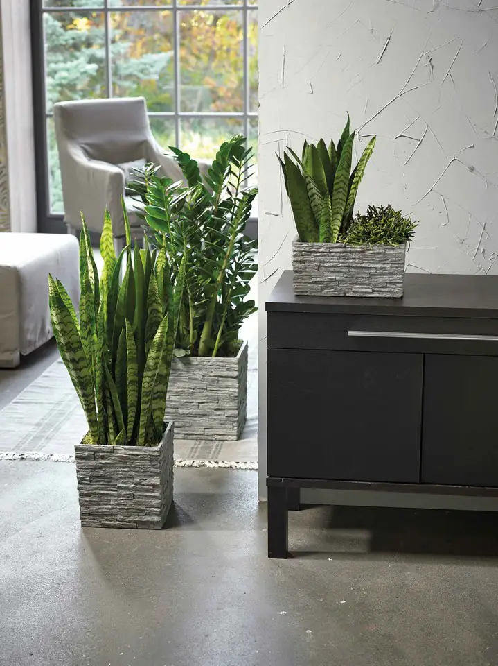 Latina 29x29 - stone gray - Image 2