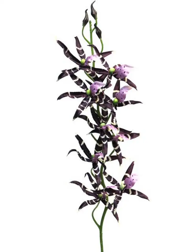 Онцидиум 108см пласт. - Oncidium Tiger