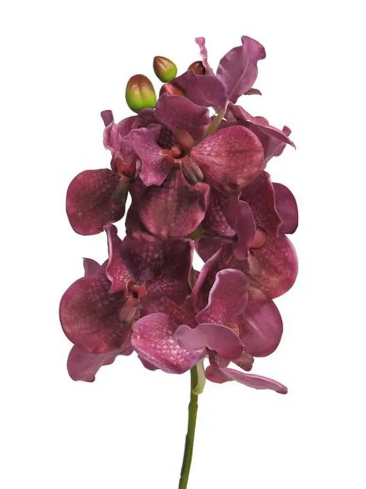 Орхидея Ванда 73см пласт.-Vanda Ariadne fuchsia