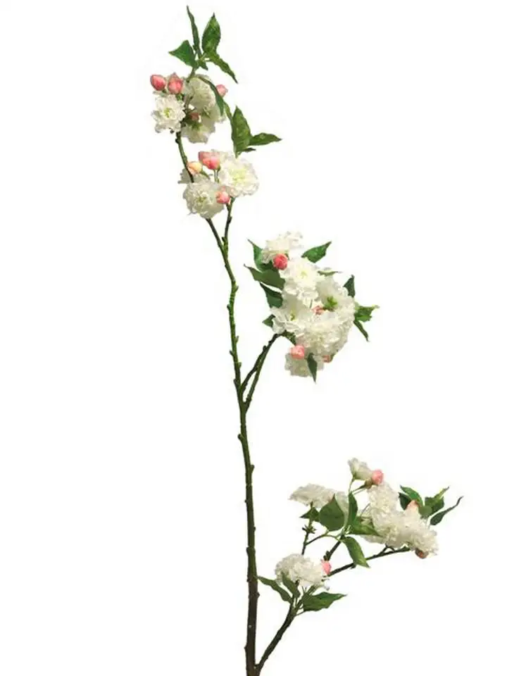 Прунус 158см пласт. - Prunus Charlot cream