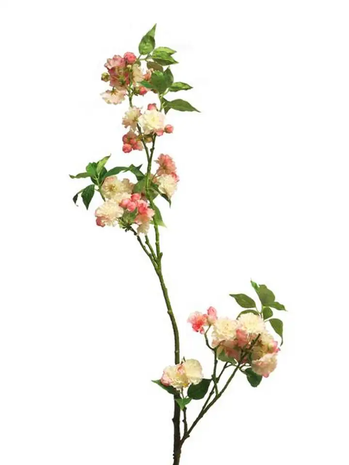 Прунус 158см пласт. - Prunus Charlot pink