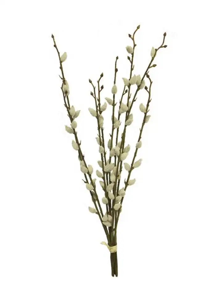 Върба сноп 54см пласт. - Salix Chartreux bundle