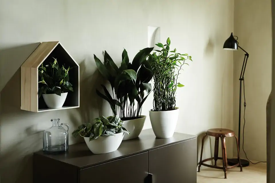 Саксия 36см пласт - diamond oval white - Image 3