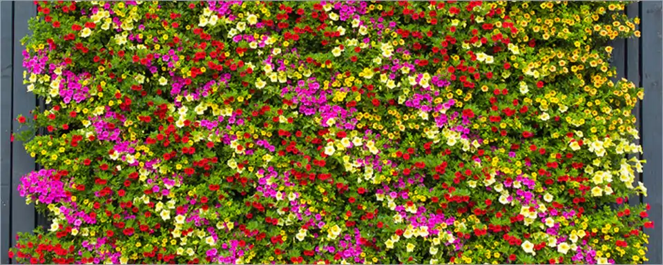 Саксия 17х13 Н12 пласт. - Image 2