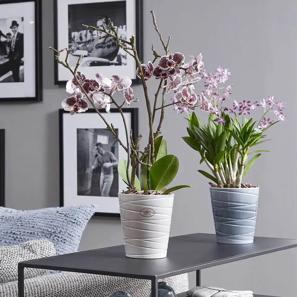 Ваза Singapur D13 H15 - warm grey gloss - Image 2