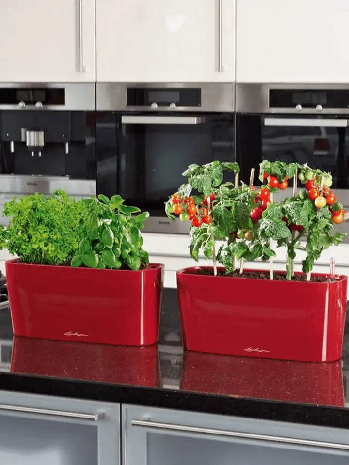 Delta Premium oval 40x15 H18 - Red - Image 3