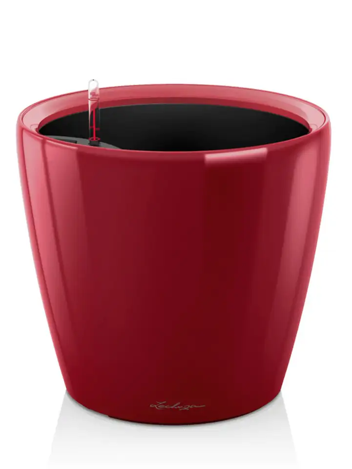 Classico Premium LS set 28 H26 - Red - Image 2