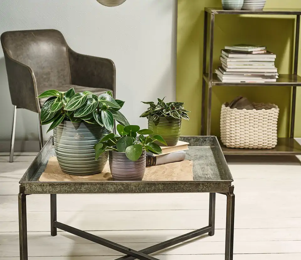 Bergamo D14 H13 - mint green glaze - Image 2