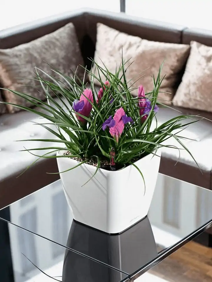 Quadro Premium LS set 21x21 H20 - White - Image 3