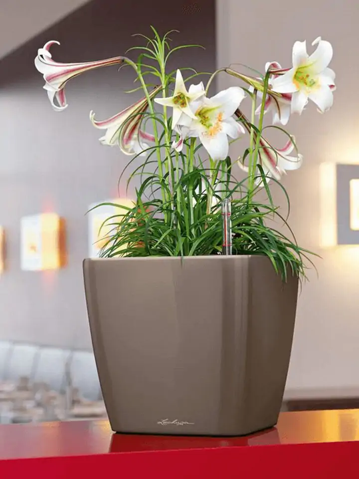 Quadro Premium LS set 35x35 H33 - Taupe - Image 3