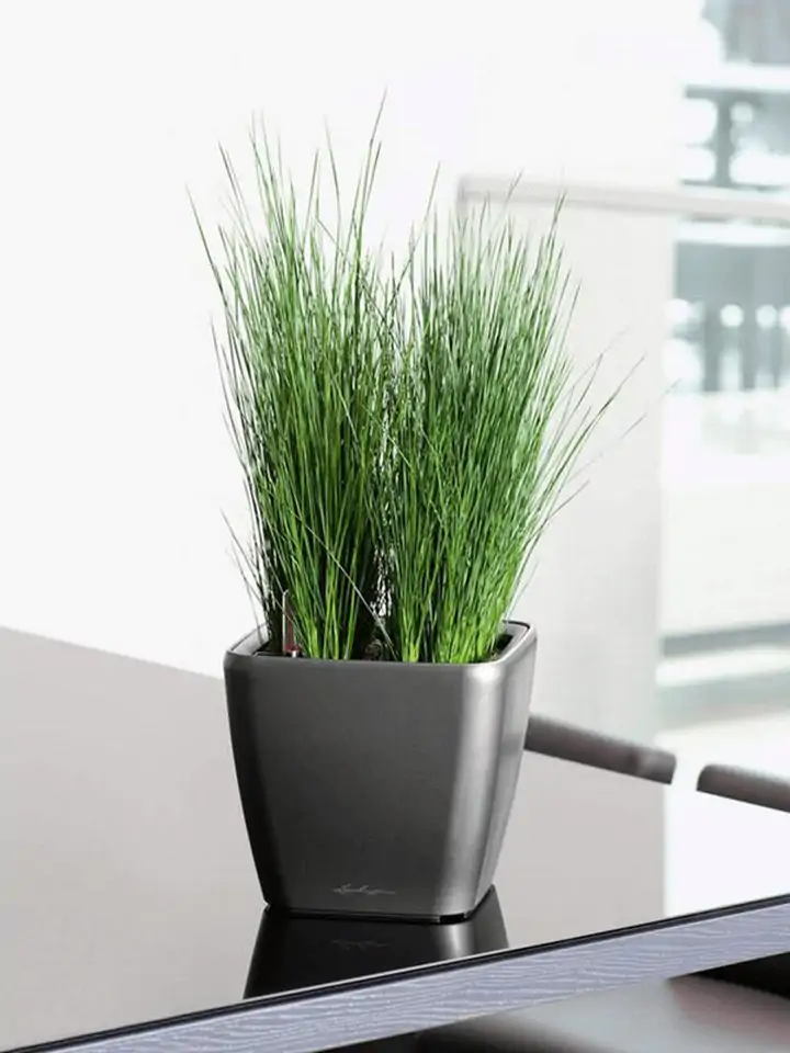 Quadro Premium LS set 21x21 H20 - Anthracite - Image 3