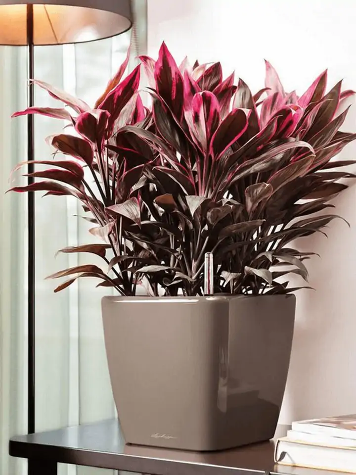 Quadro Premium LS set 28x28 H26 - Taupe - Image 3