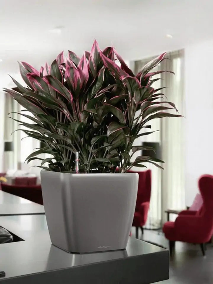 Quadro Premium LS set 28x28 H26 - Silver - Image 3