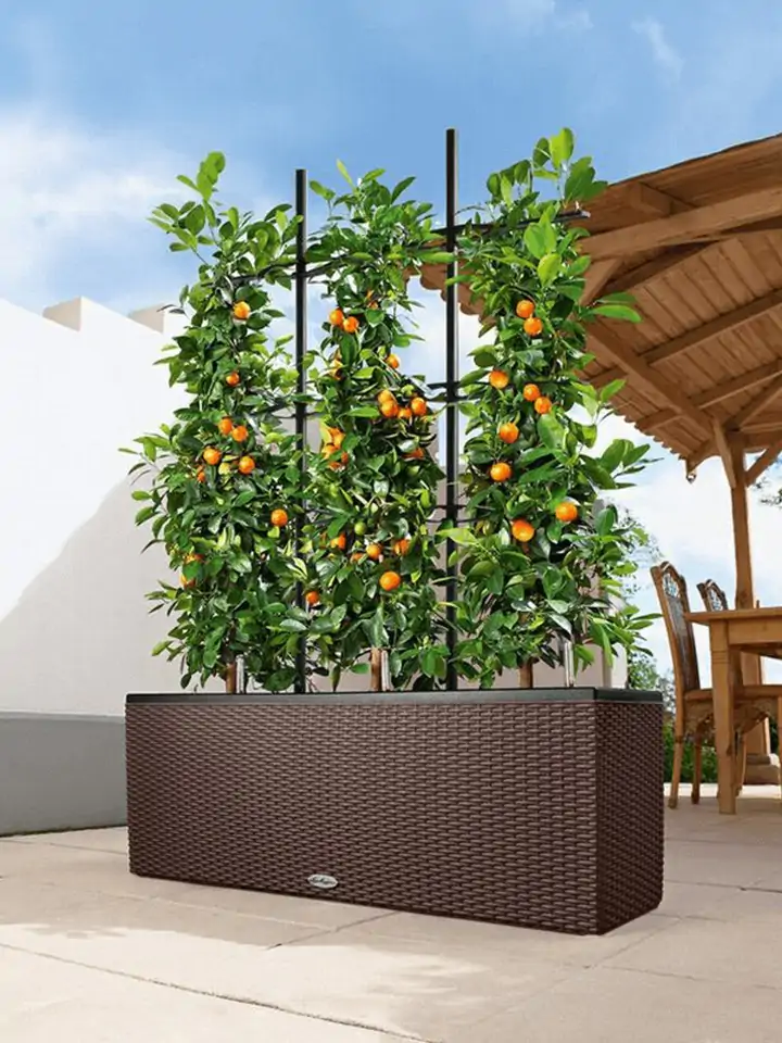 Balconera Trio 100x32 H34 - Mocha - Image 3