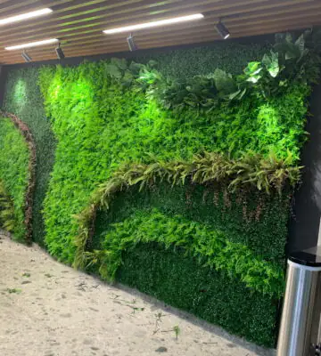 Зелени стени / Green walls