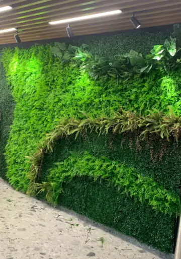 Зелени стени / Green walls