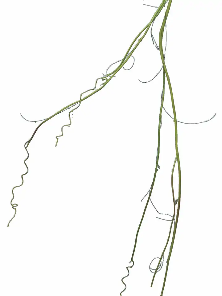 Клонка с разклонения 180см пласт. - Twiggy garland