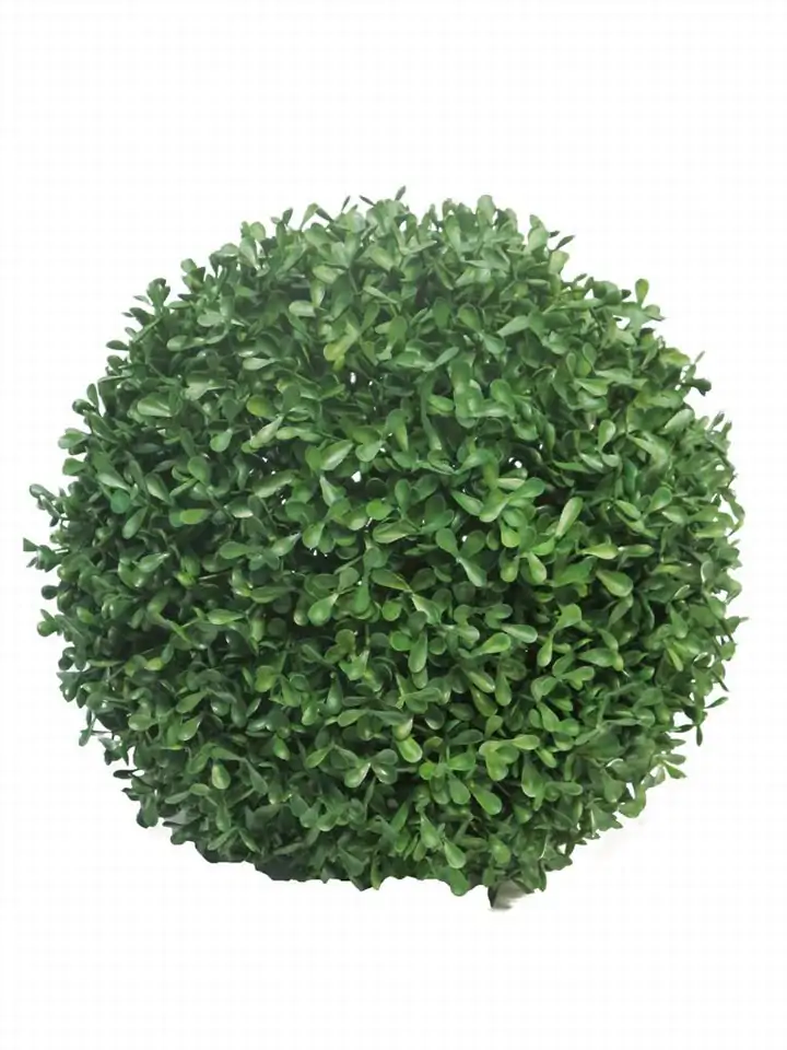 Чемшир топка D28см пласт. - Boxwood UV w/o pot