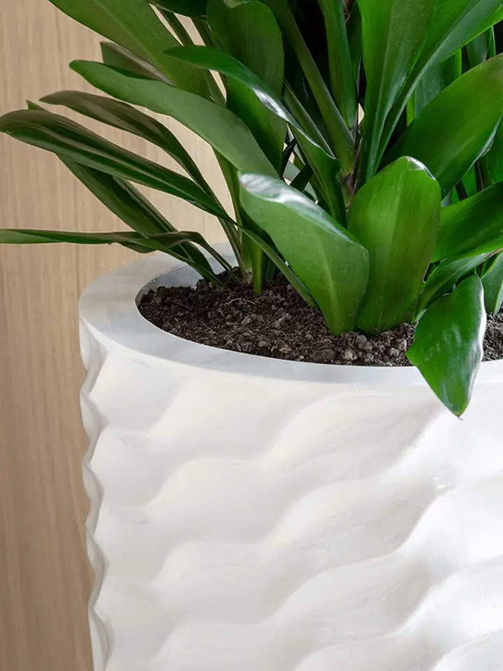 Luxe Lite D39 H100 - Glossy Breaker Partner - Image 3