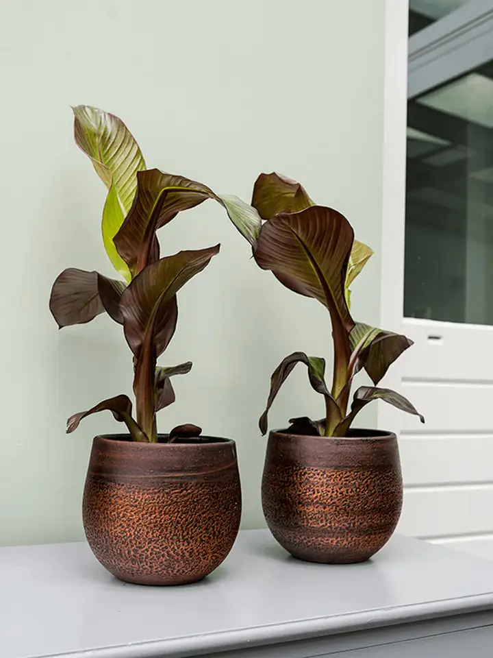 Кашпа керамика D18 H16 - Mya Pot Shiny Mocha - Image 2