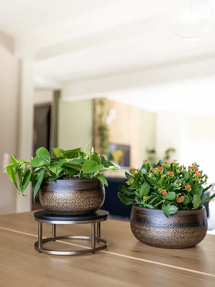 Кашпа керамика D22 H11 - Mya Bowl Deep Champagne - Image 2