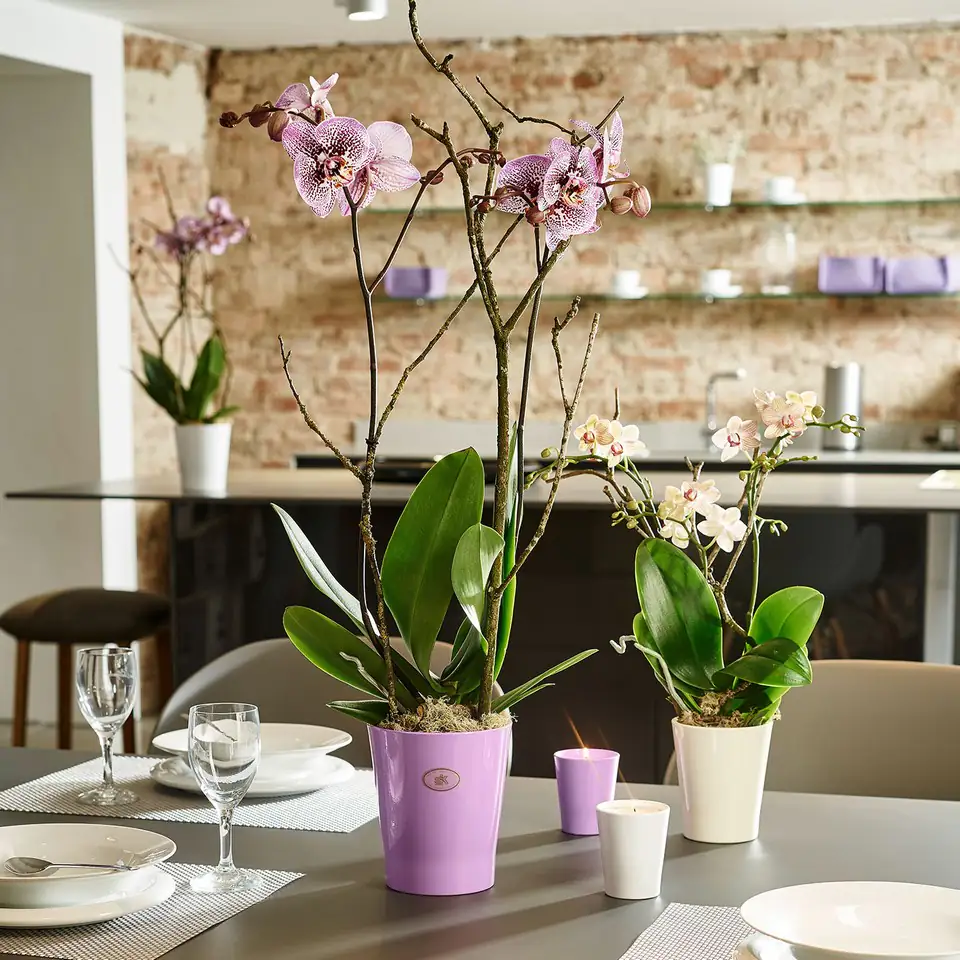 Кашпа Merina D16 H18 - shiny white - Image 2