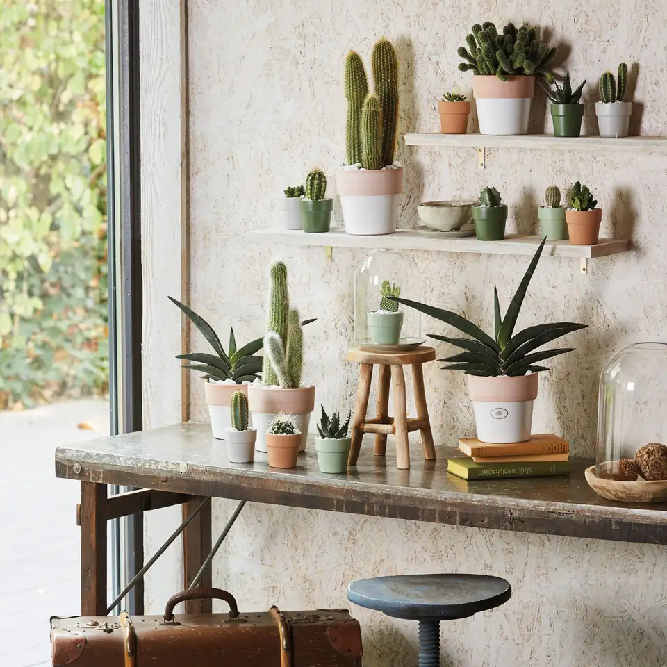 Кашпа Lima Mini D10 H9 - matte linden green - Image 2