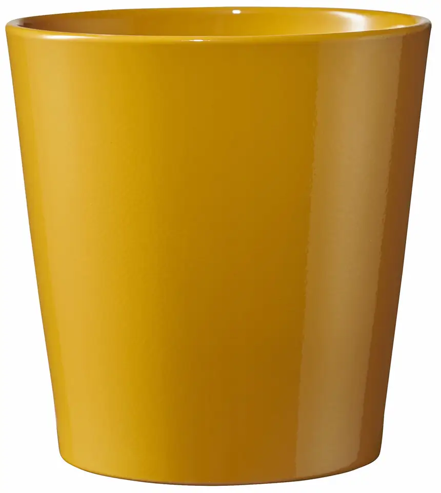 Dallas Breeze D7 H6 - mustard yellow