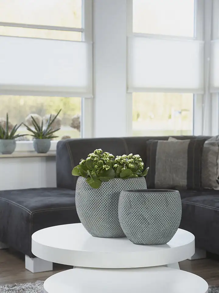 Fay Blue gold 20х29 Н36 - Image 3