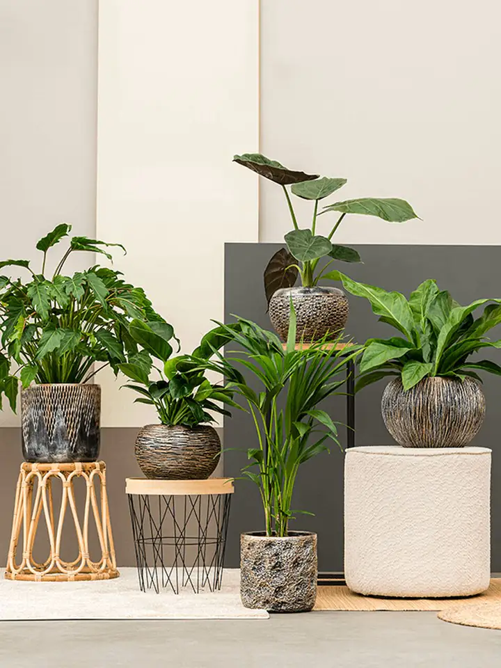 Luxe Lite D33 H24 - Universe Waterfall Globe - Image 2