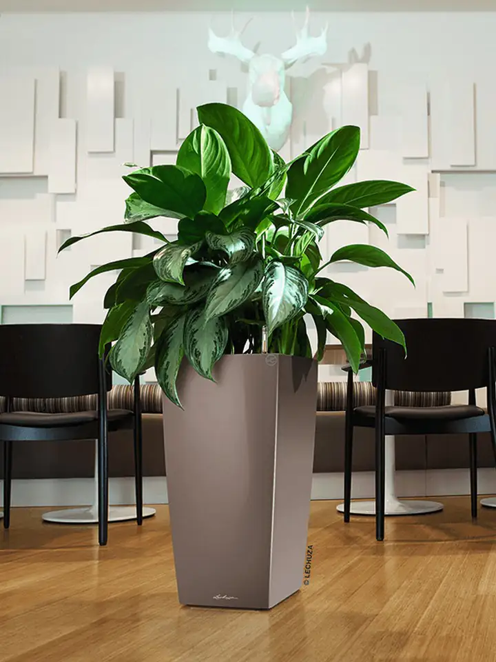 Cubico Premium 30x30 H56 - Taupe set - Image 3