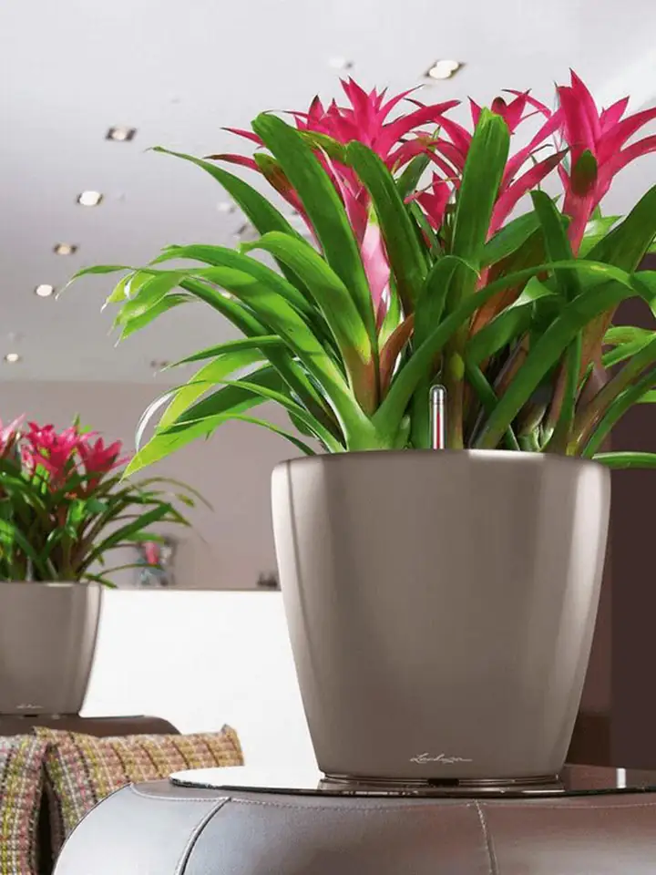 Classico Premium LS set 28 H26 - Taupe - Image 3