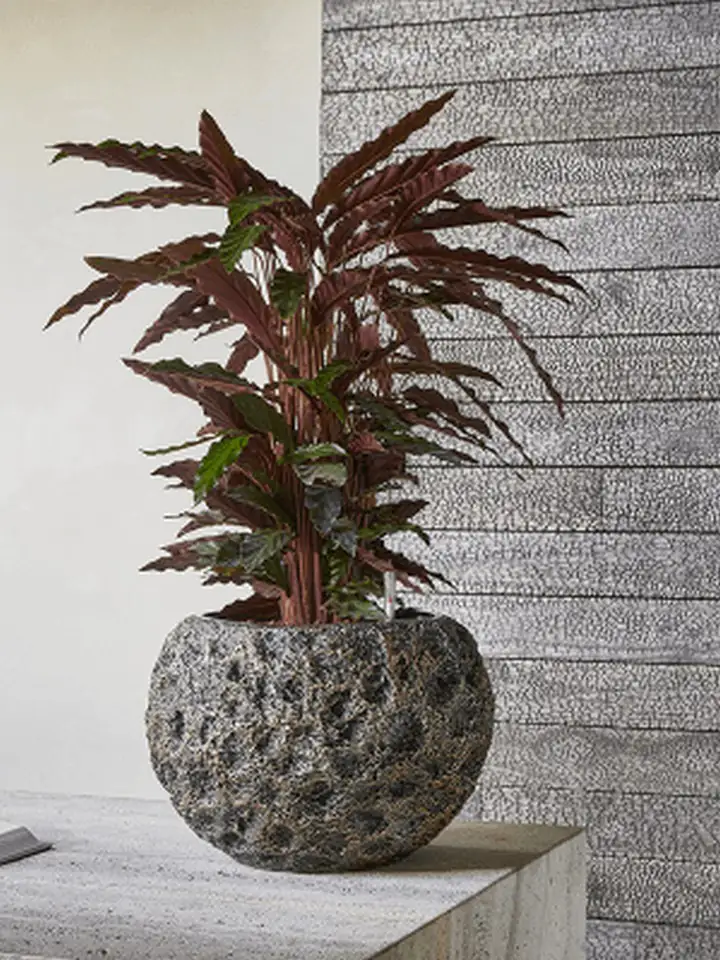 Luxe Lite D28 H20 - Universe Moon Globe bronze - Image 2