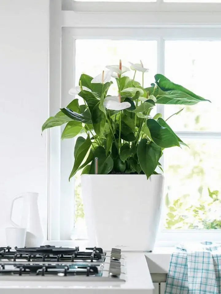 Quadro Premium LS set 35x35 H33 - White - Image 3