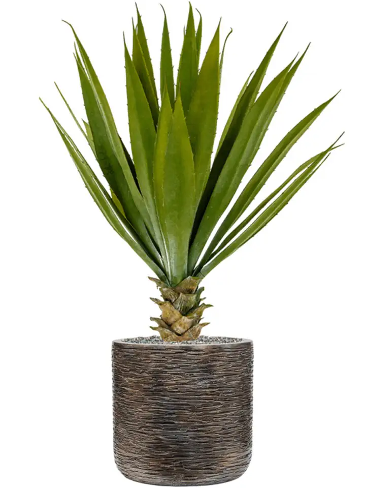 Luxe Lite D23 H22 - Universe Wrinkle Cylinder - Image 2