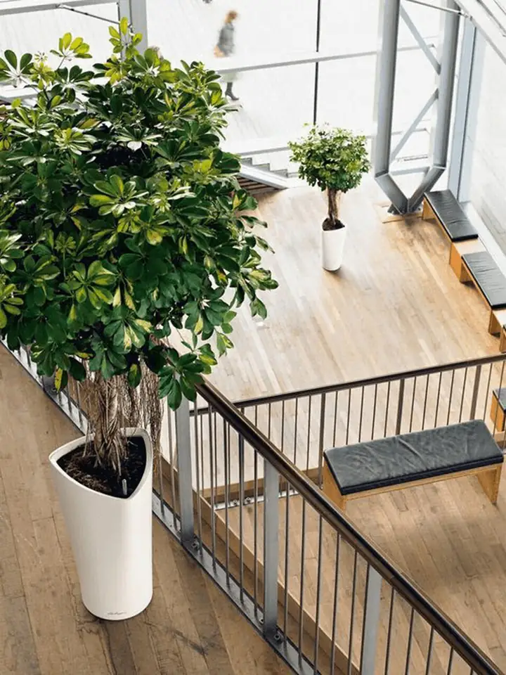 Delta Premium 40 H75 - White set - Image 3