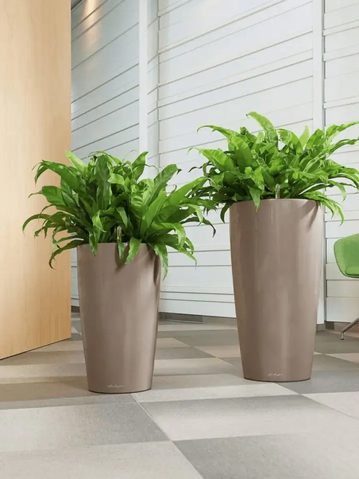 Rondo Premium set 40 H75 - Taupe - Image 3