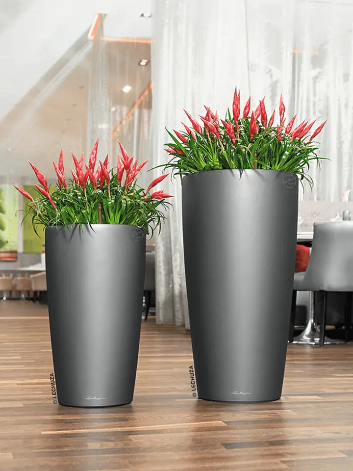 Rondo Premium set 32 H56 - Anthracite - Image 3