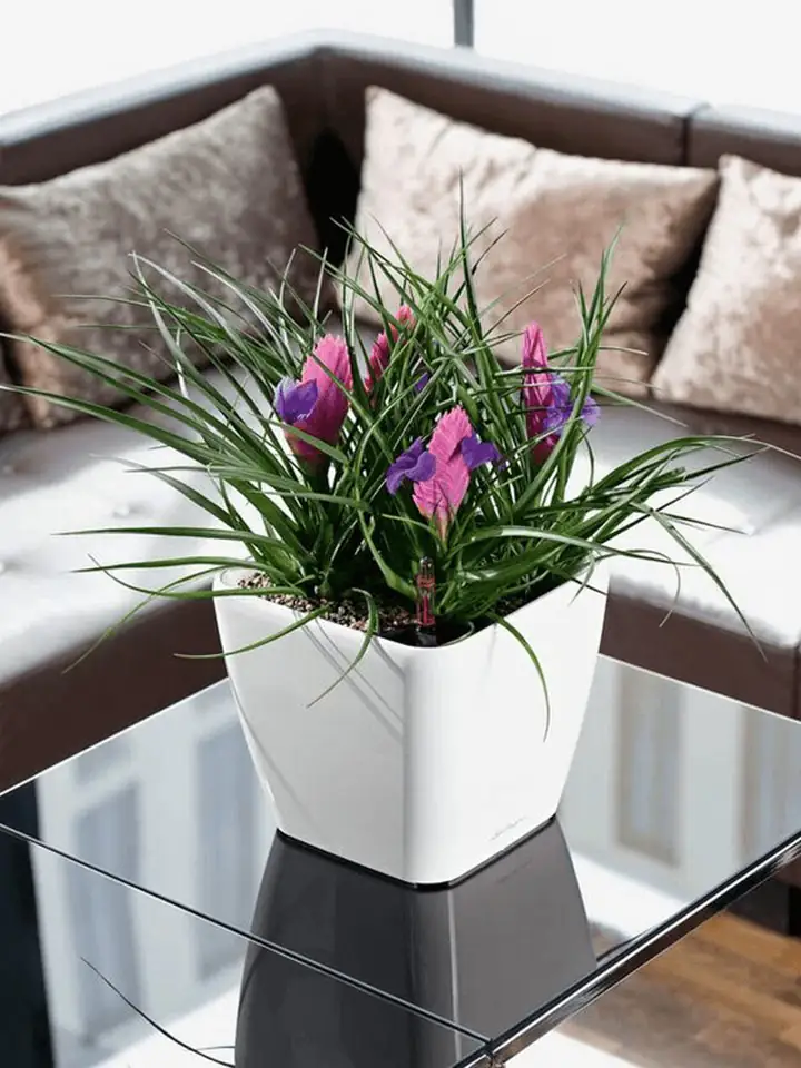 Quadro Premium LS set 21x21 H20 - White - Image 3