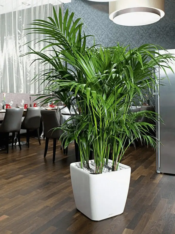 Quadro Premium LS set 43x43 H40 - White - Image 3