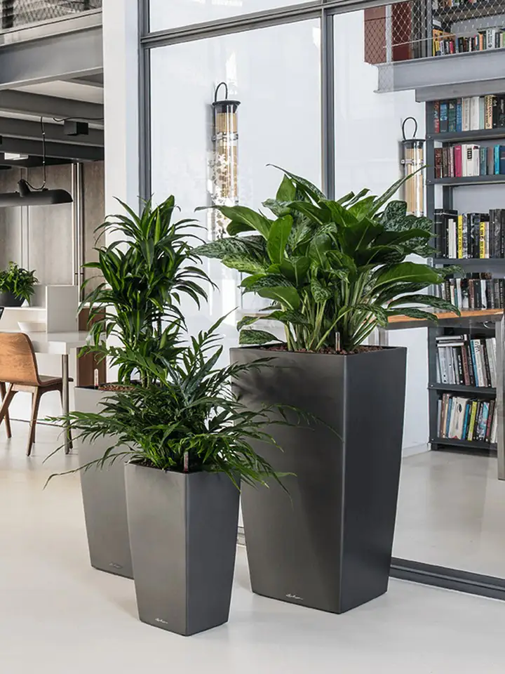 Cubico Premium 40x40 H75 - Anthracite set - Image 3