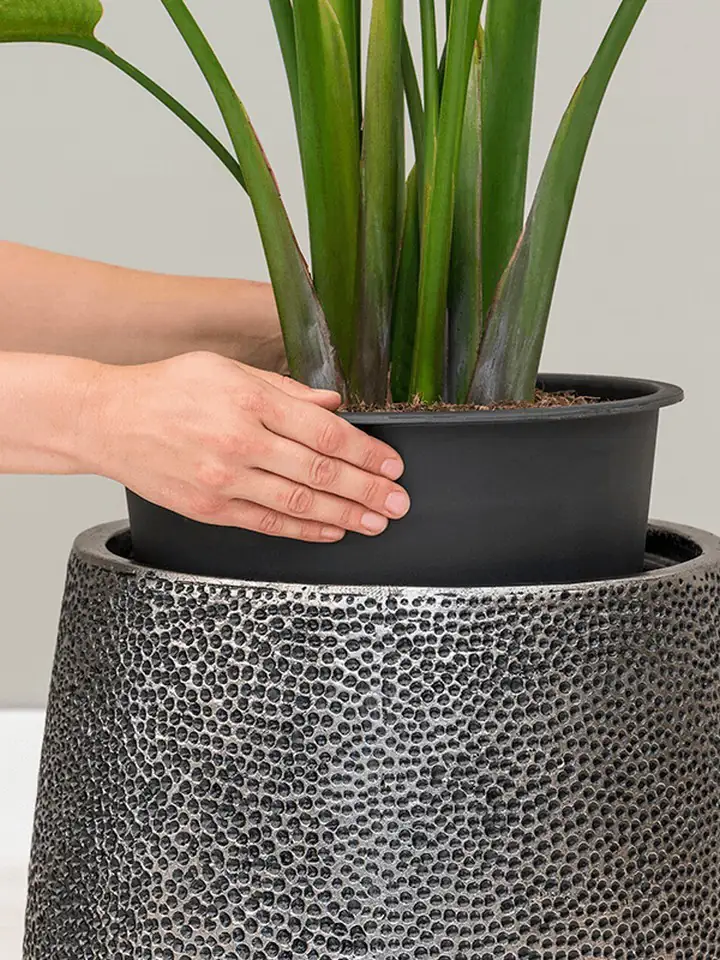 Hit Darcy Opus D38 H42 - gold - Image 2