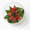 Антуриум в стъклен съд D14 H25 - Anthurium arrangement - Image 2