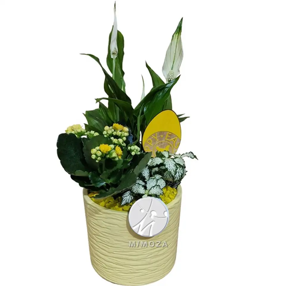 Аранжировка растения D14 H40 - Plant arr SP001