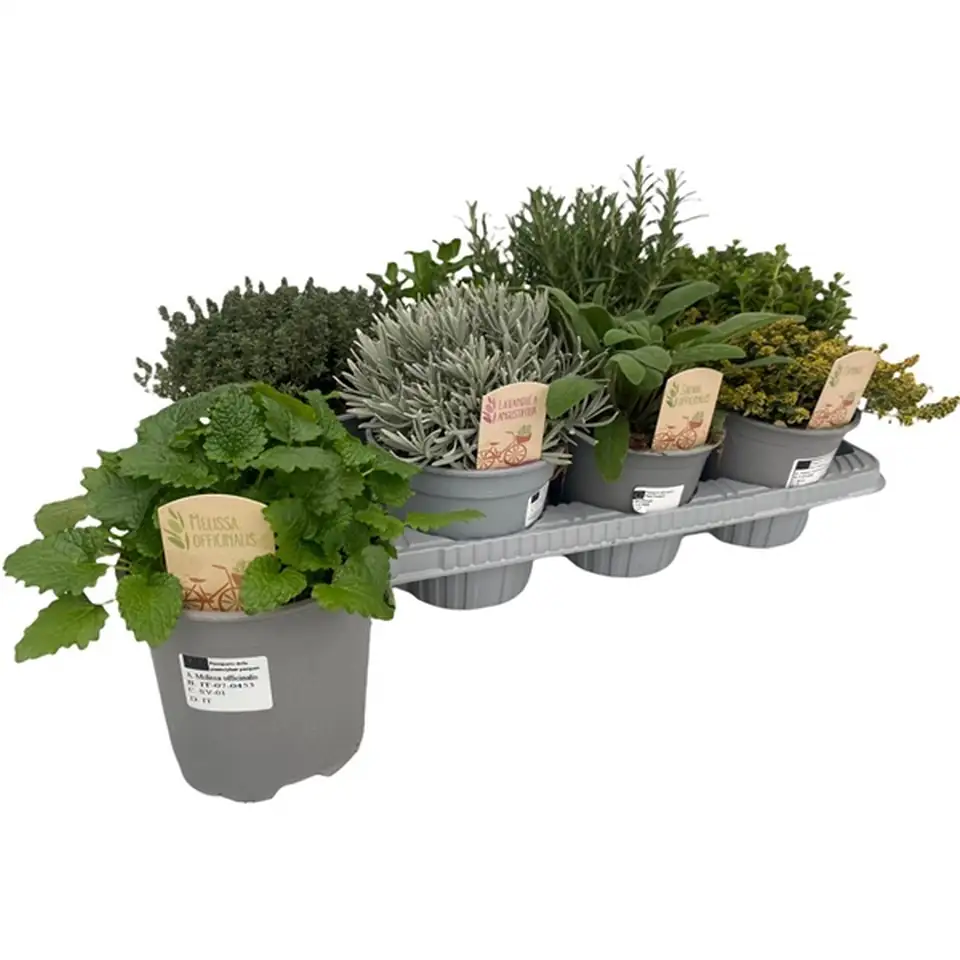 Микс билки D14 H25 - Herbs mix