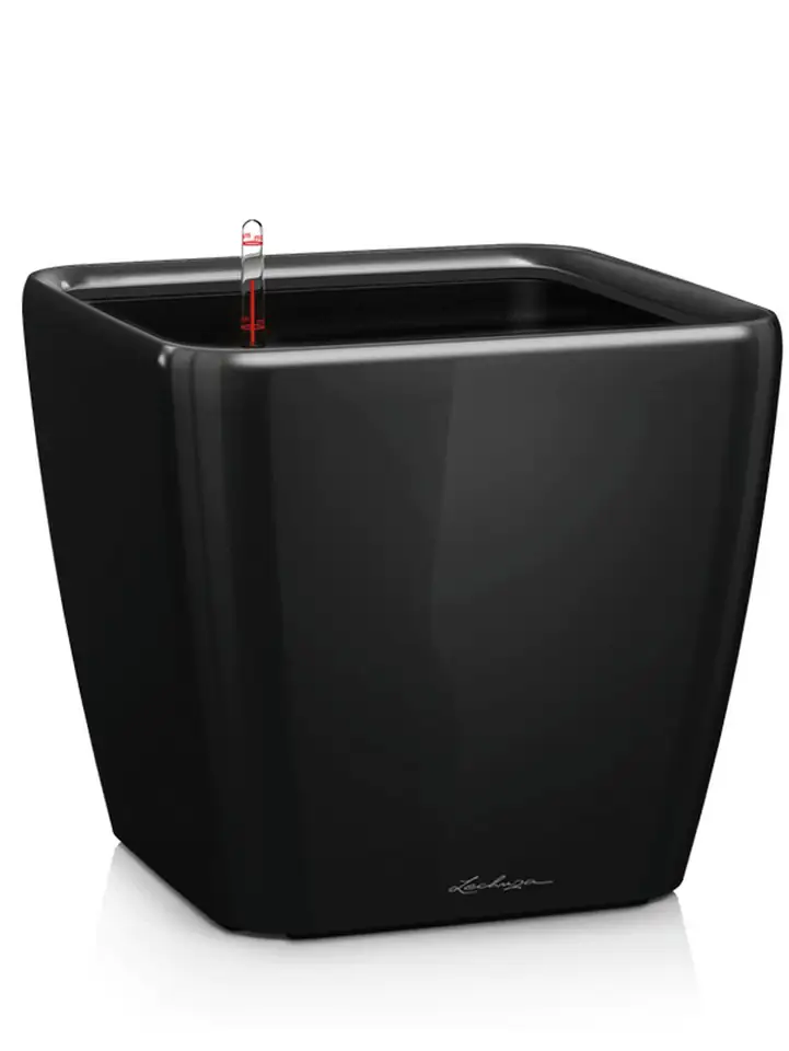 Quadro Premium LS set 21x21 H20 - Black - Image 2