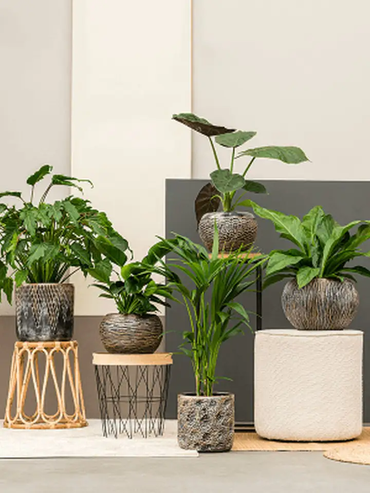 Luxe Lite D19 H22 - Universe Moon Cylinder - Image 2