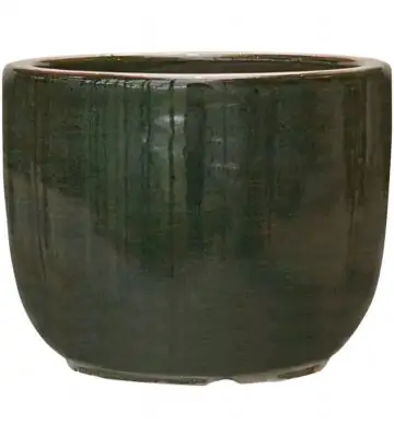 Plain Striped 21 H16 - Couple olive